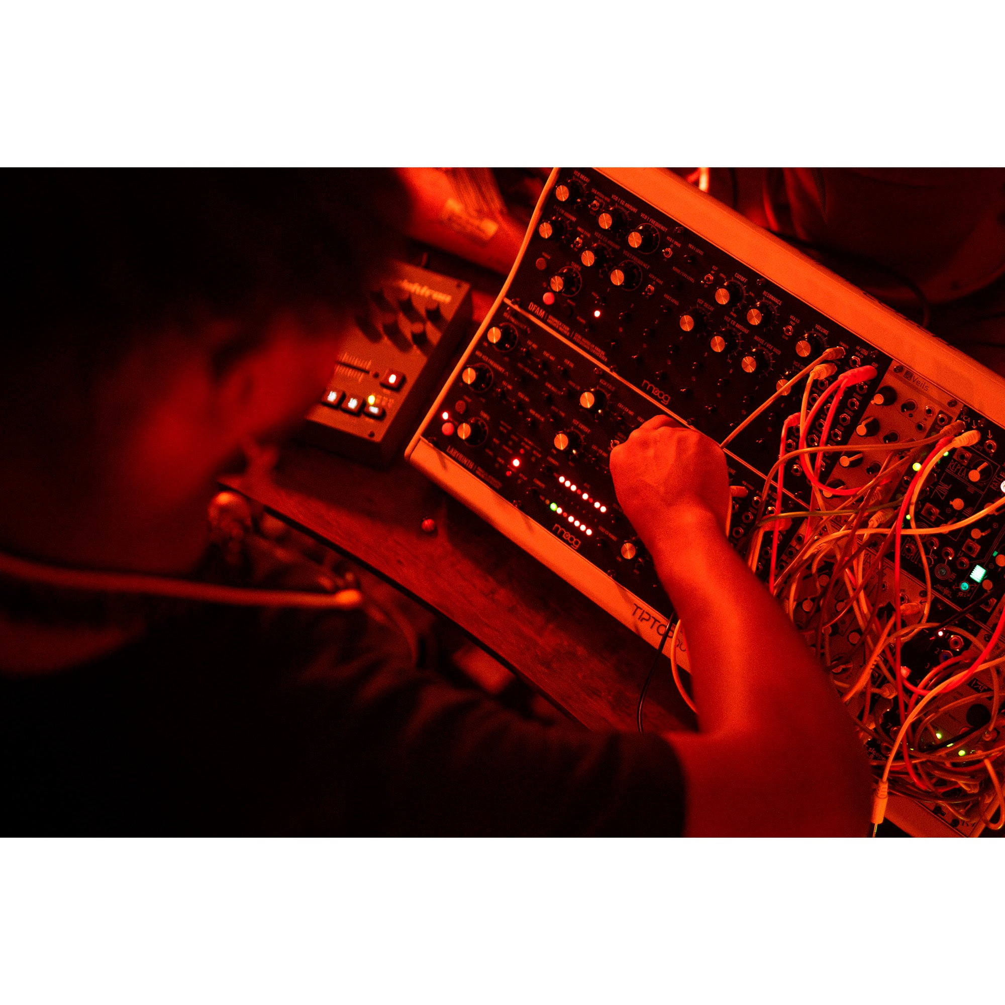 Moog Labyrinth for studio and life performace