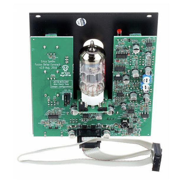 Erica Synths Fusion Delay/Flanger/Vintage Ensemble