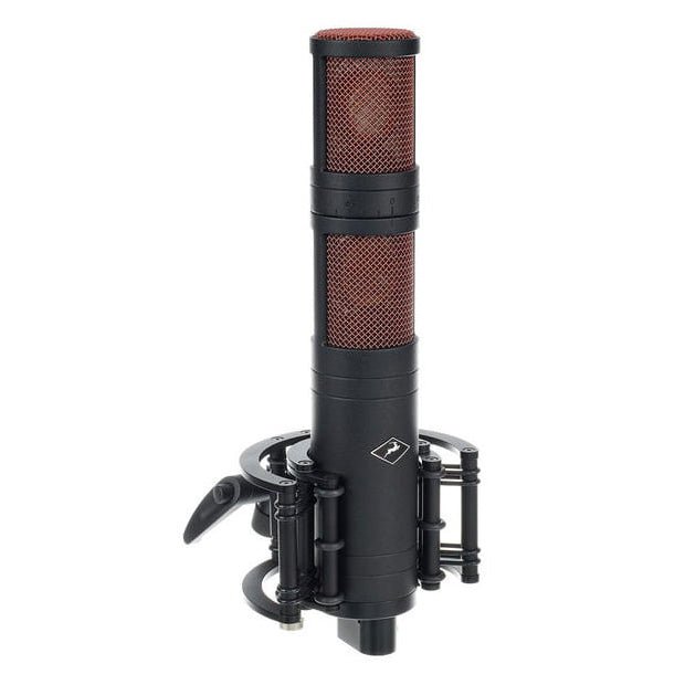 Antelope Edge Quadro