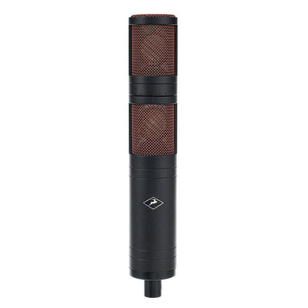 Antelope Edge Quadro