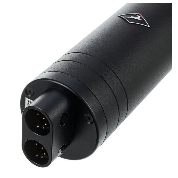 Antelope Edge Quadro