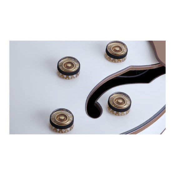 Schecter Wayne Hussey Corsair-12 Ivory (IVY)