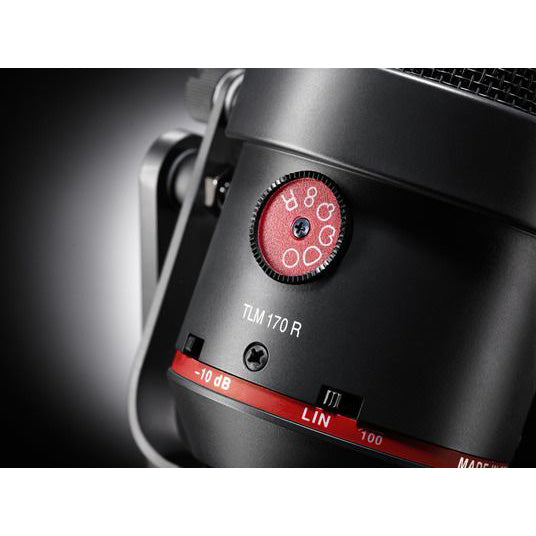 Neumann TLM 170 R mt stereo set