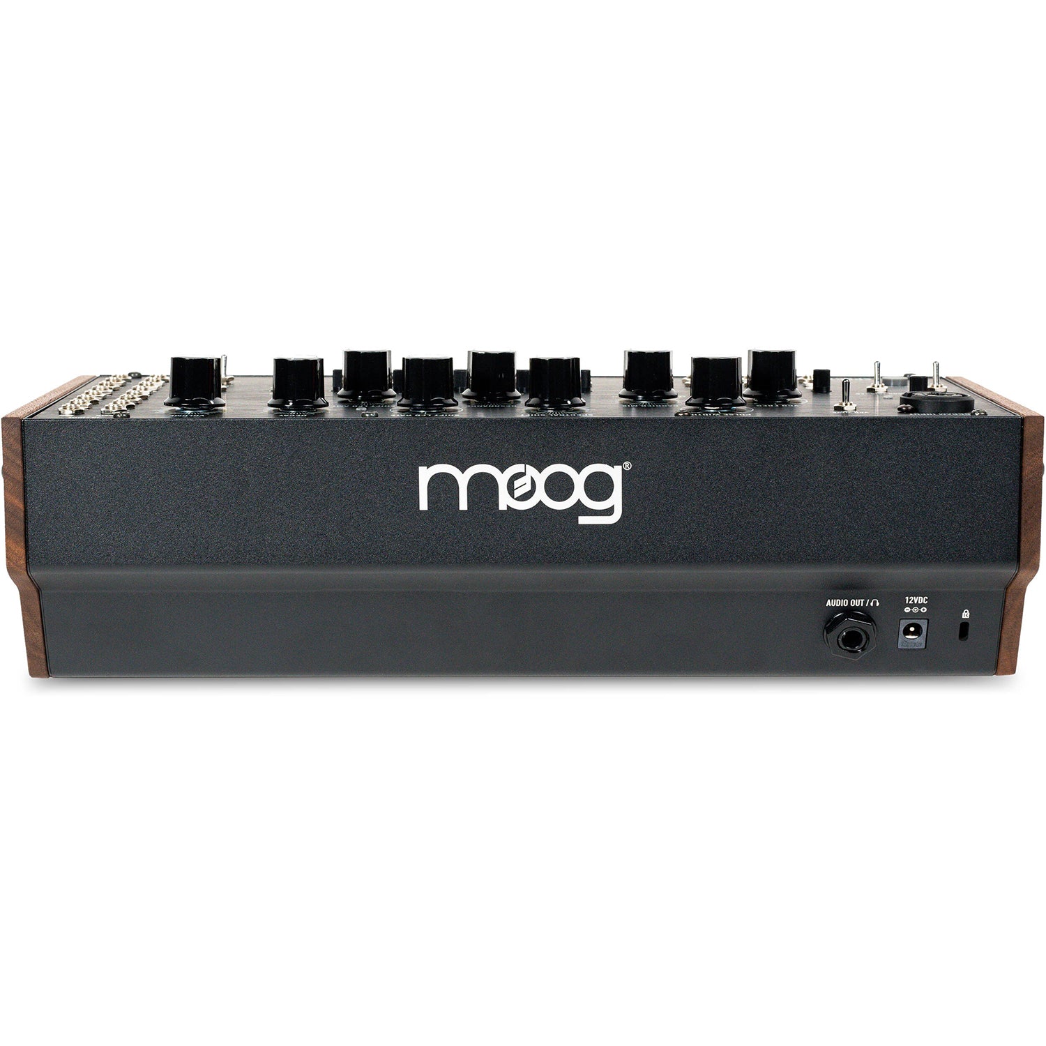 Moog Spectravox