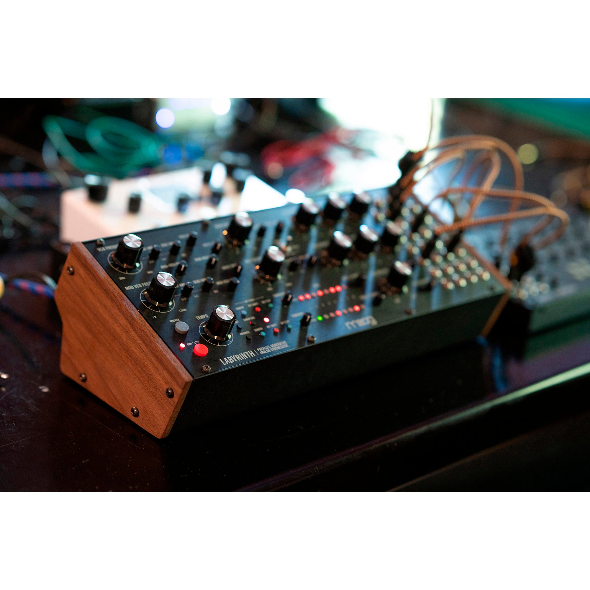 Moog Labyrinth for professional and home studios