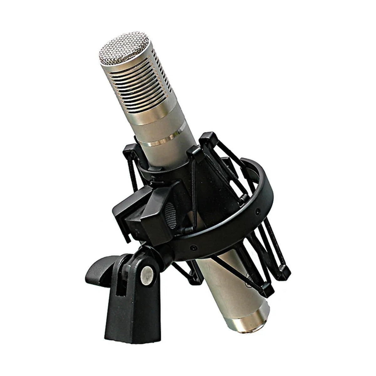 Peluso Microphone Lab P-28