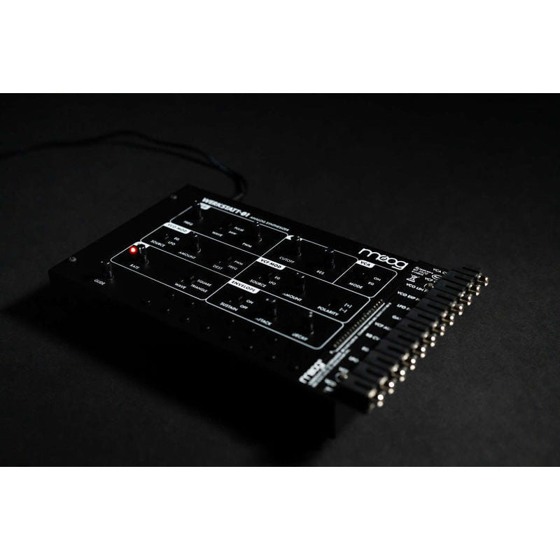 Moog Werkstatt 01 Analog Synth and CV Expander